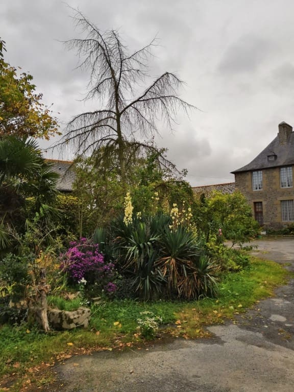 La cour et la maison de la ferme de Maintibœuf